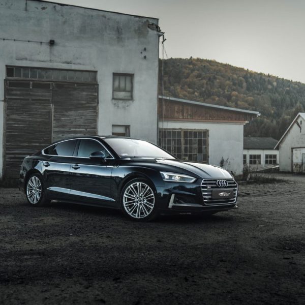 DSC00503-scaled-r5tr8ezk0i8ac5w321xhzdfrvj4peq2glhl61pzcjk