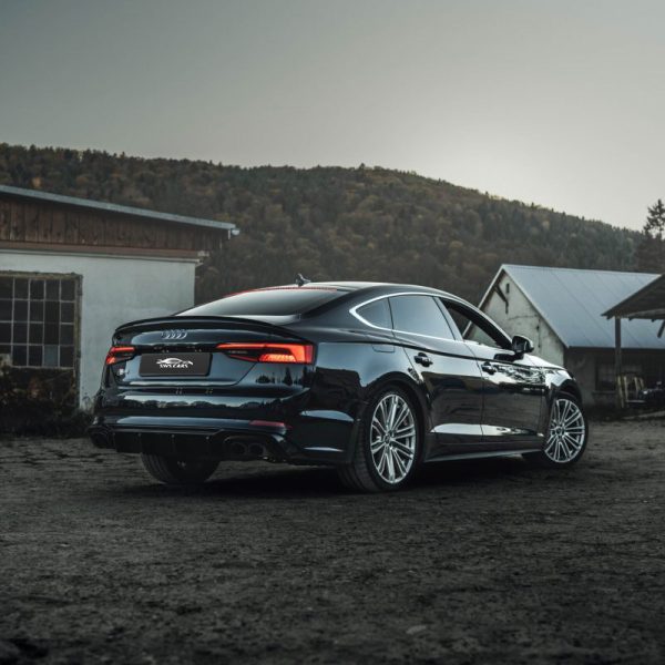 DSC00512-scaled-r5tr87guhtxzra709yohffc34g5rp58lwgda7iahxc