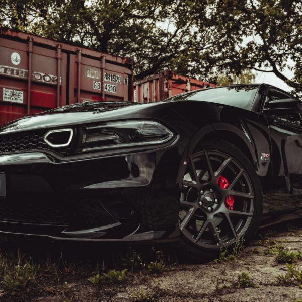 DSC04293-scaled-r5drv53yppbhk72t14kcwsnik681twsz4arkcrrdc0