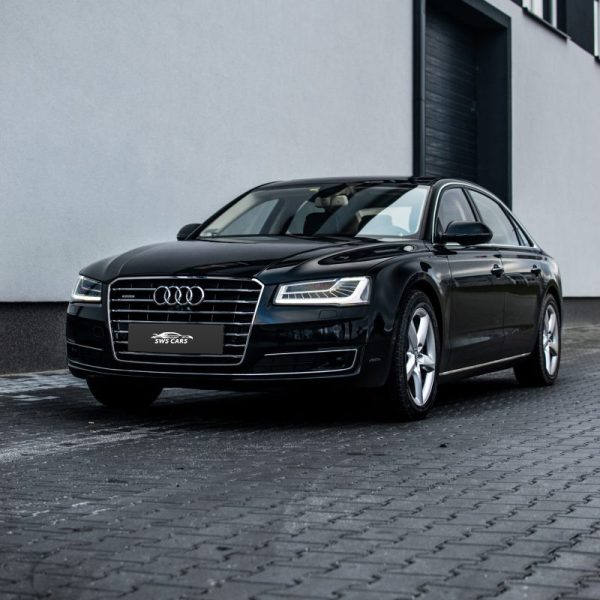 DSC_0192-scaled-r5dqk48mt2y2qhdsmat9o5ucp7zzr14ebju31fhem8